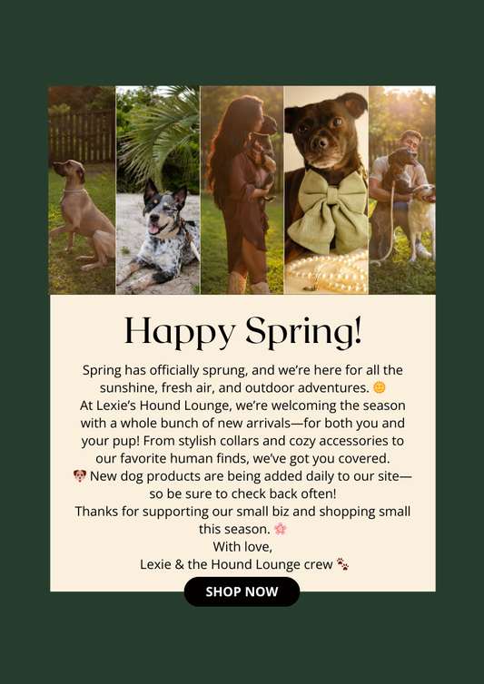 Spring Has Sprung at Lexie’s Hound Lounge! 🌸