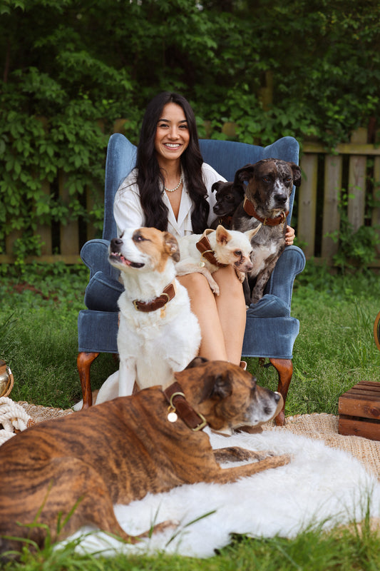 Reflecting on the Past Year and Looking Forward to 2024: Lexie's Hound Lounge Journey