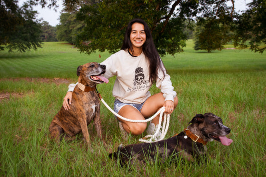 Unlock the Joy of Lexie's Hound Lounge