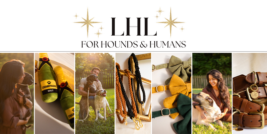 New Year, New Brand: Exciting Changes for Lexie's Hound Lounge!