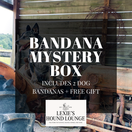 🐶 The Mystery Bandana Box is Here — Handpicked Surprises from Lexie & the Pack!
