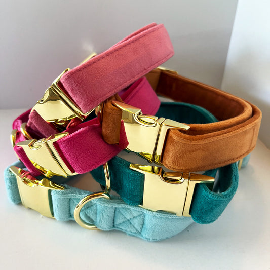 Velvet Dog Collars