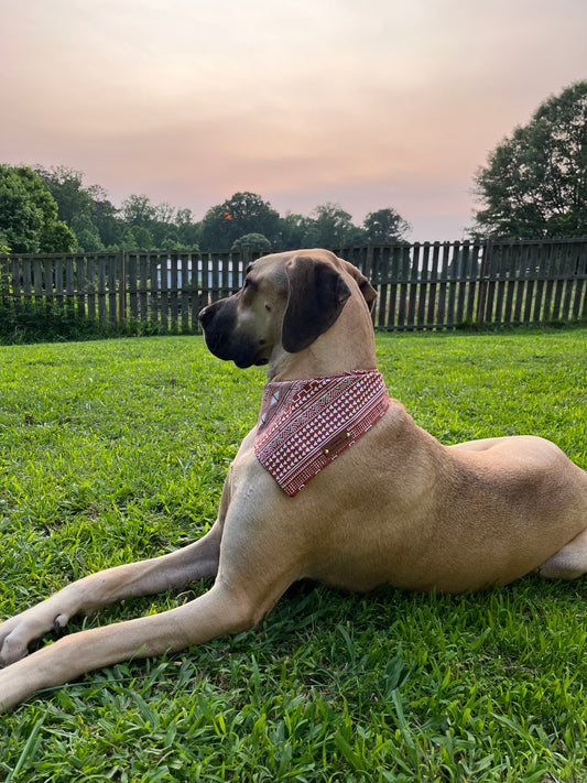Southwest Style Aztec Dog Bandana – Brown & White