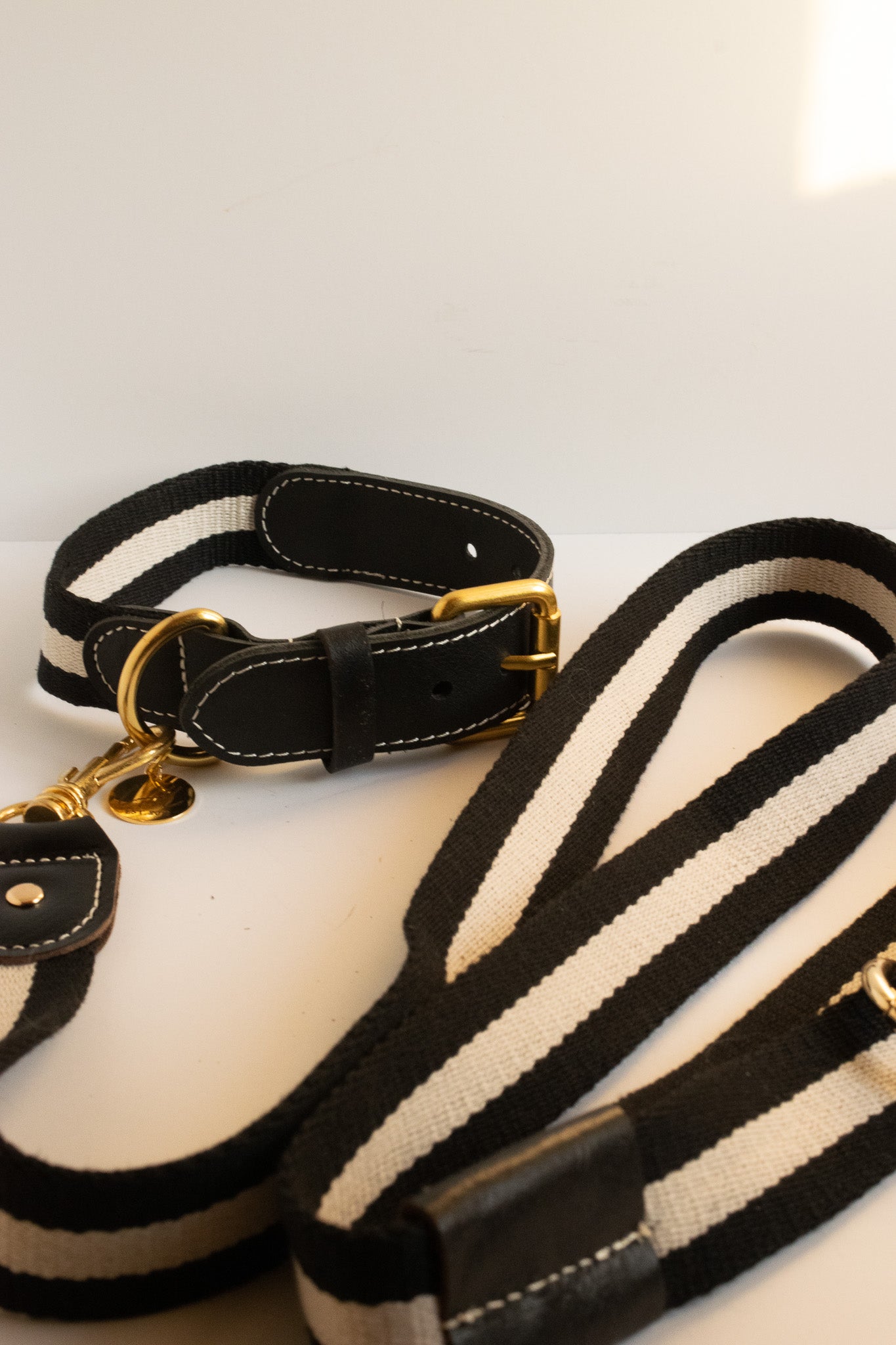 Striped top dog collar