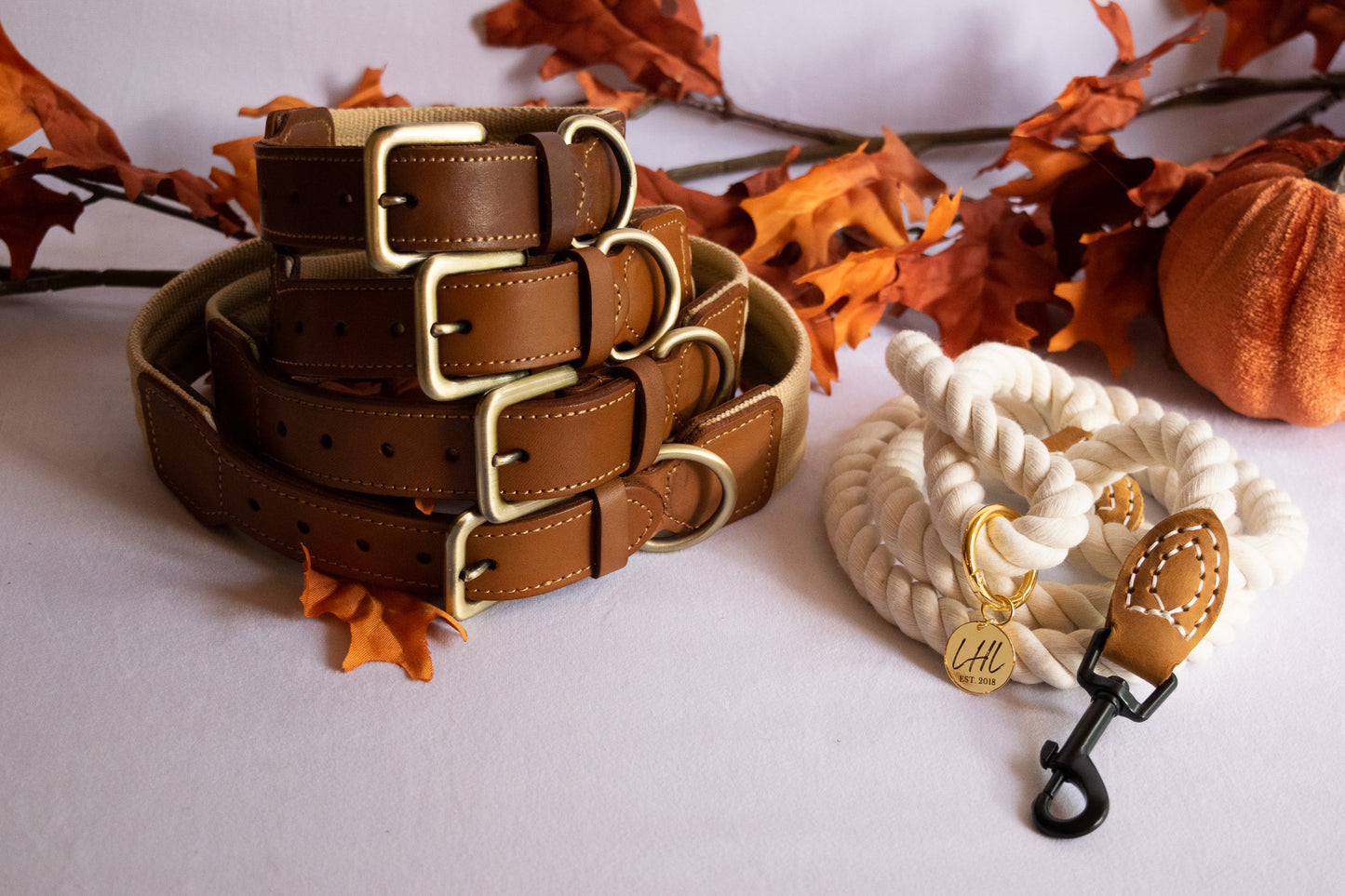 The Hampton Leather Padded Dog Collar