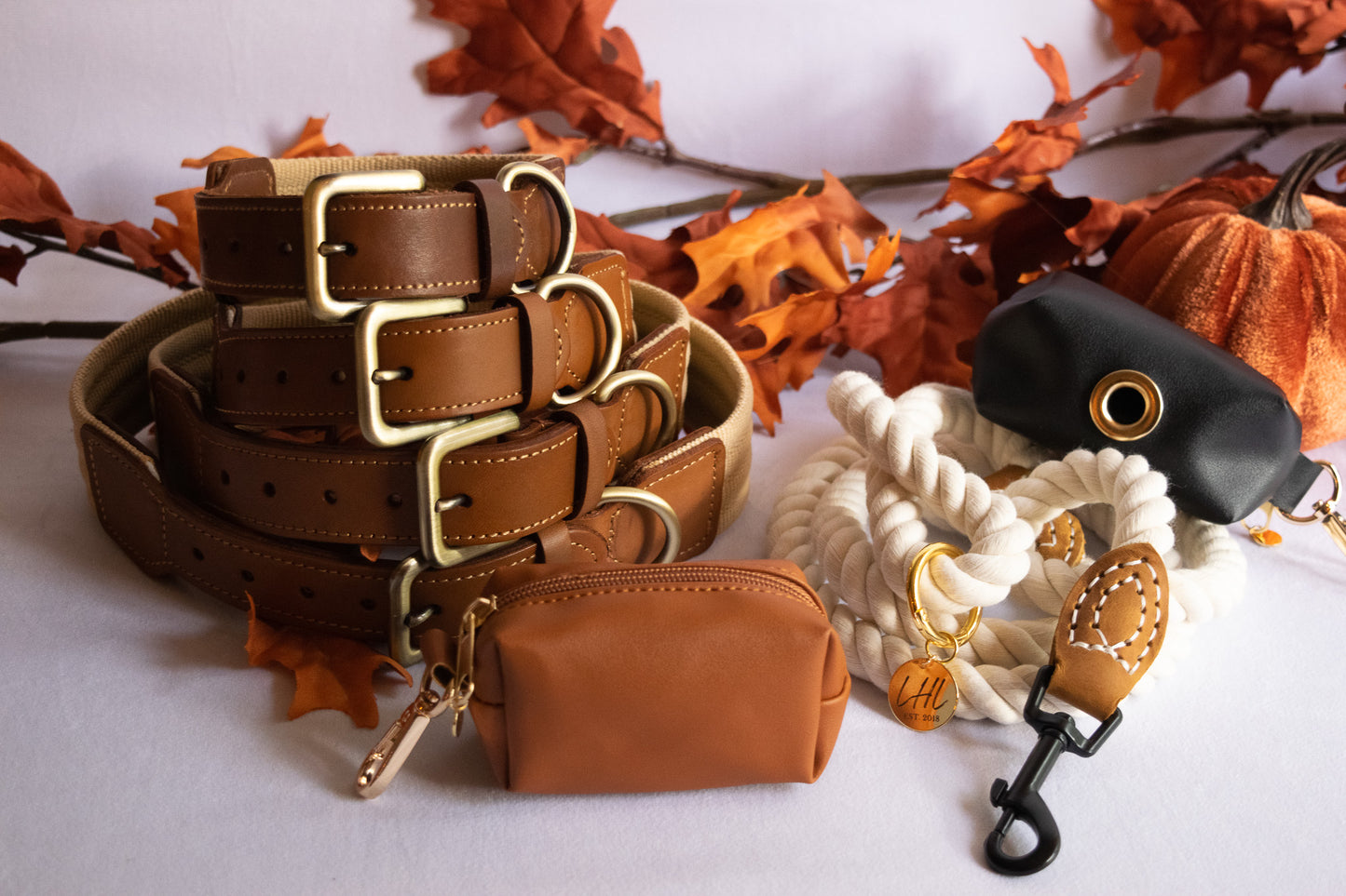 The Hampton Leather Padded Dog Collar