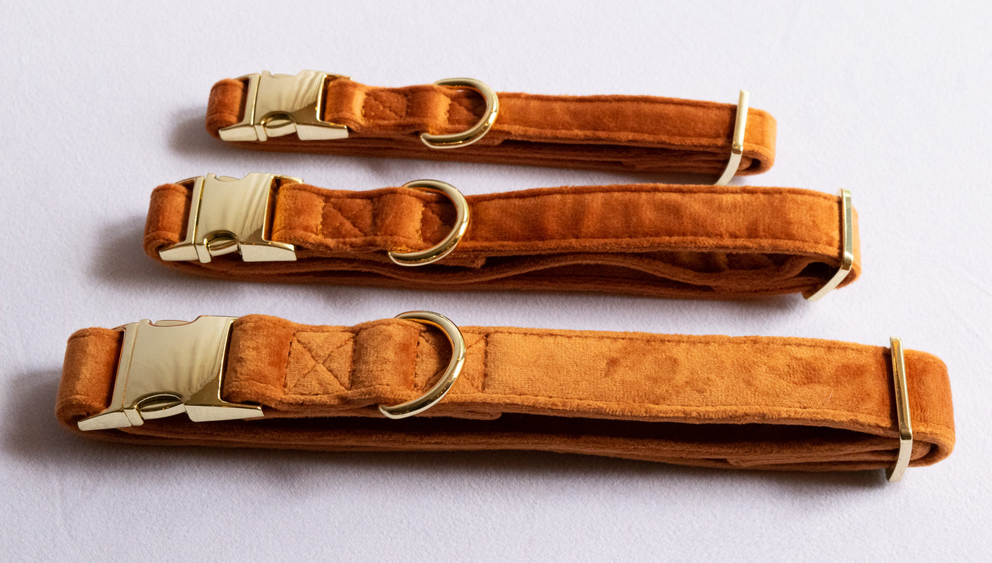 Velvet Dog Collars