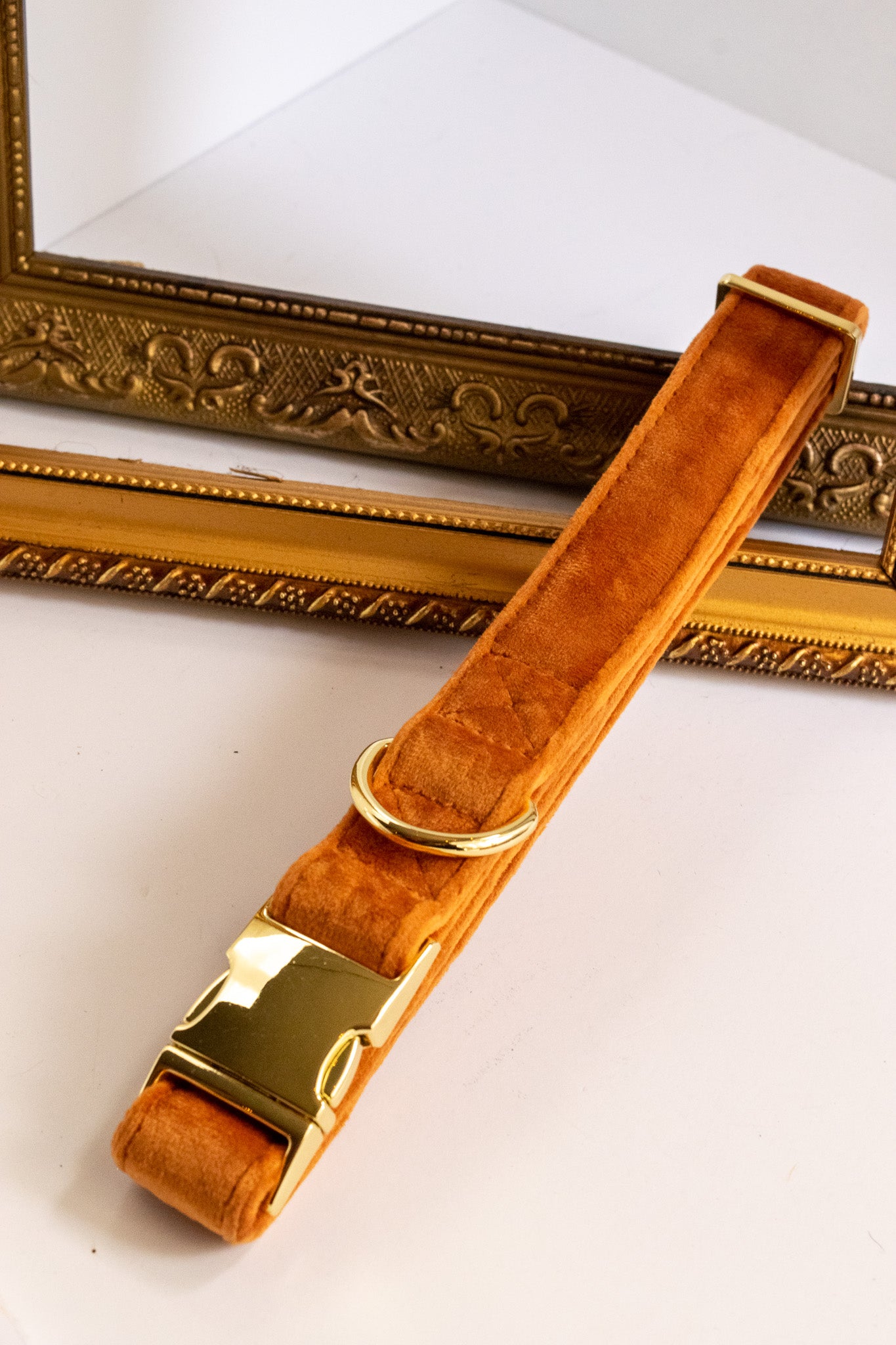 Velvet Dog Collars
