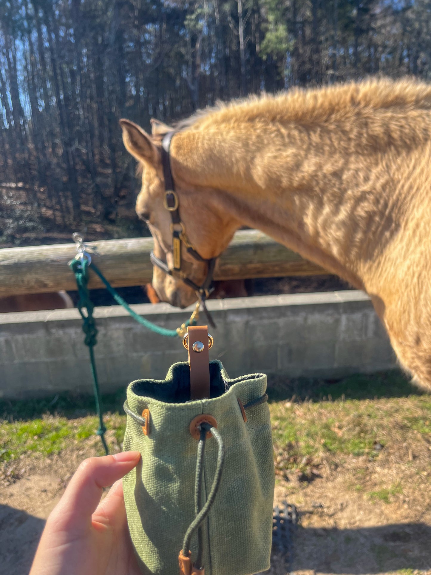 Mini Portable Dog Snack Bag