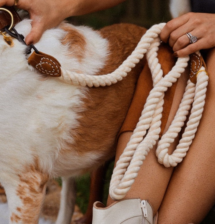 The Ivory Rope Leash