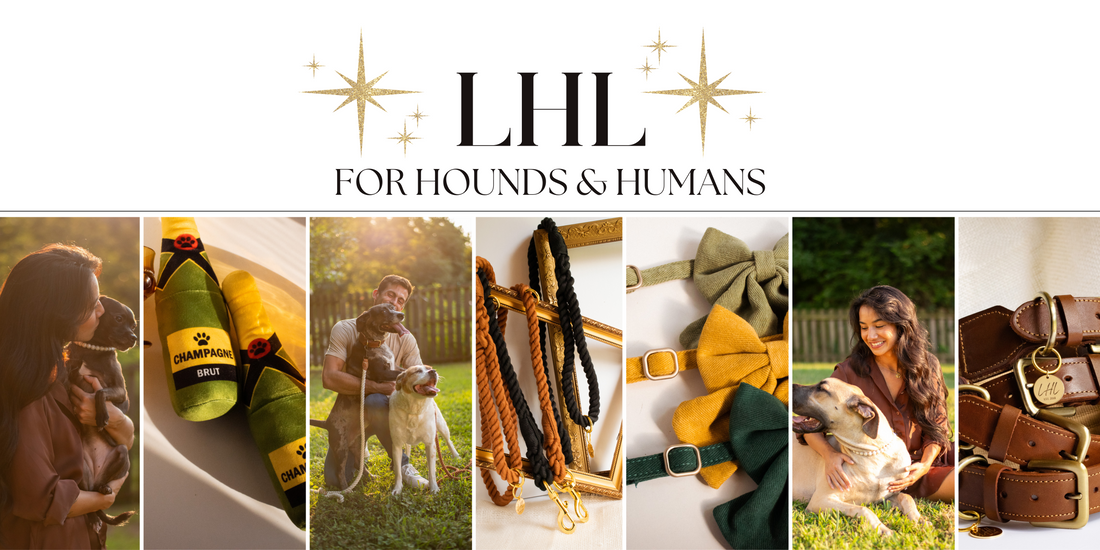 New Year, New Brand: Exciting Changes for Lexie's Hound Lounge!