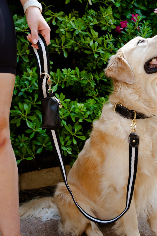 Striped Black and White Dog Leash