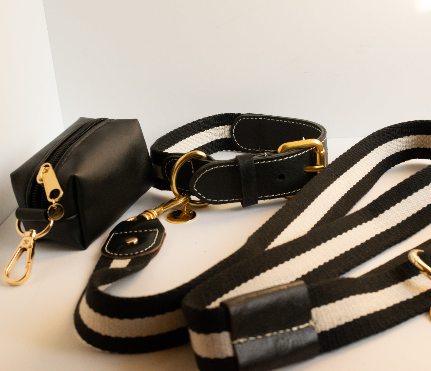 Striped Black and White Dog Leash