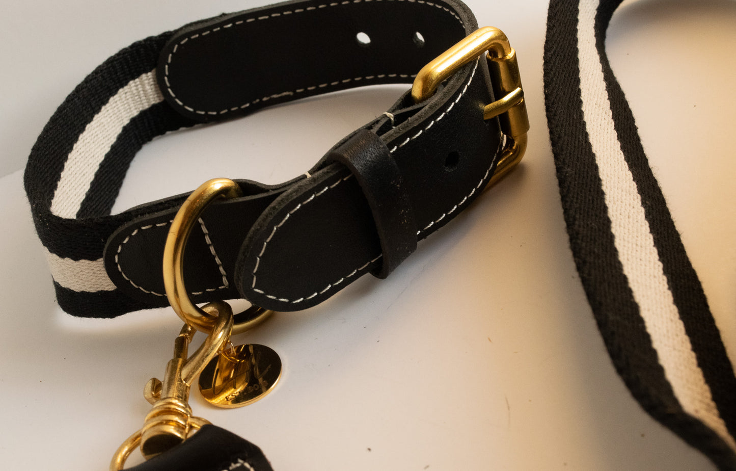 Black and White Striped Dog Collar