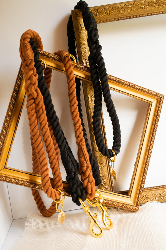 Royal Rope Leashes