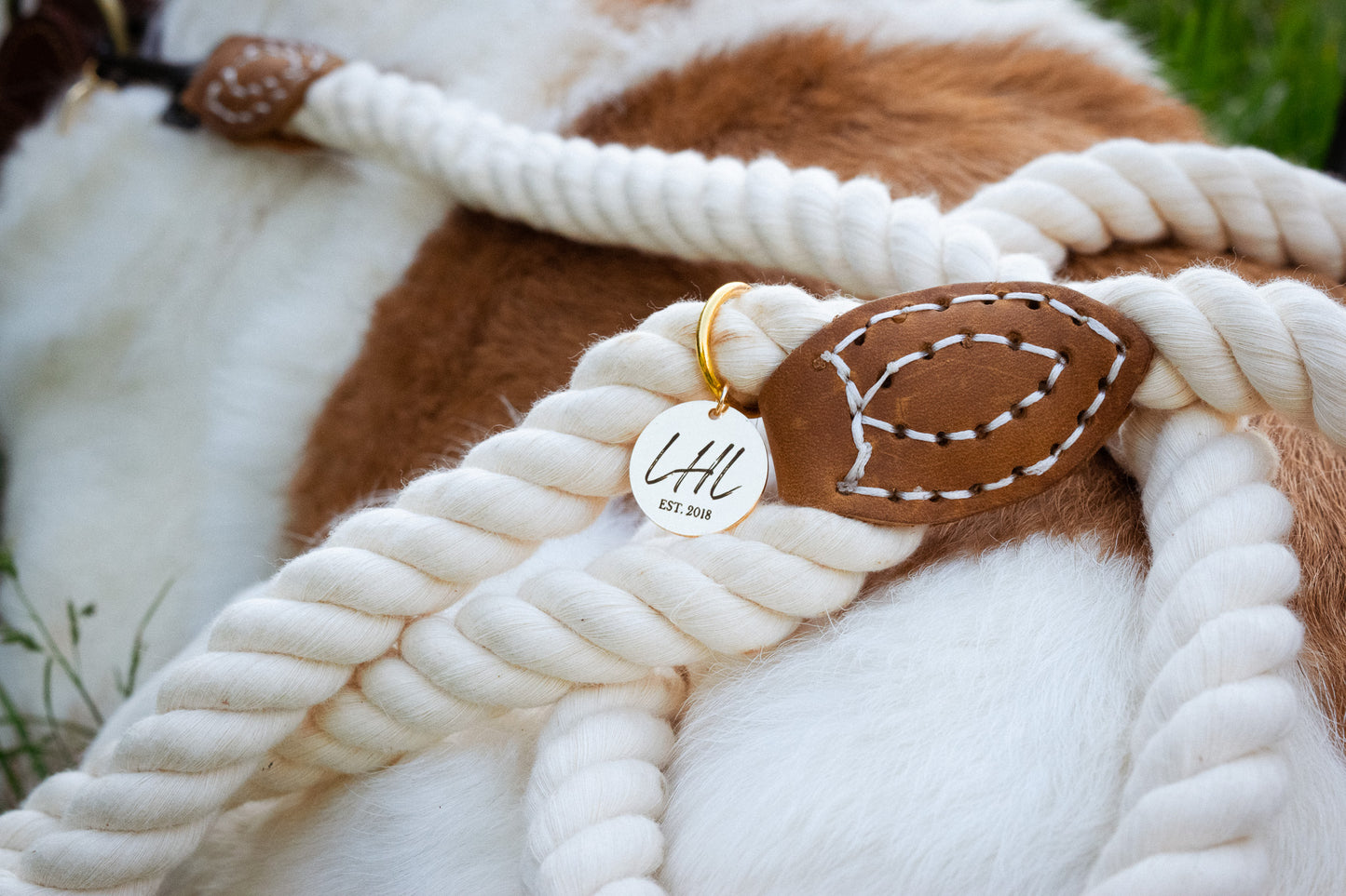 The Ivory Rope Leash